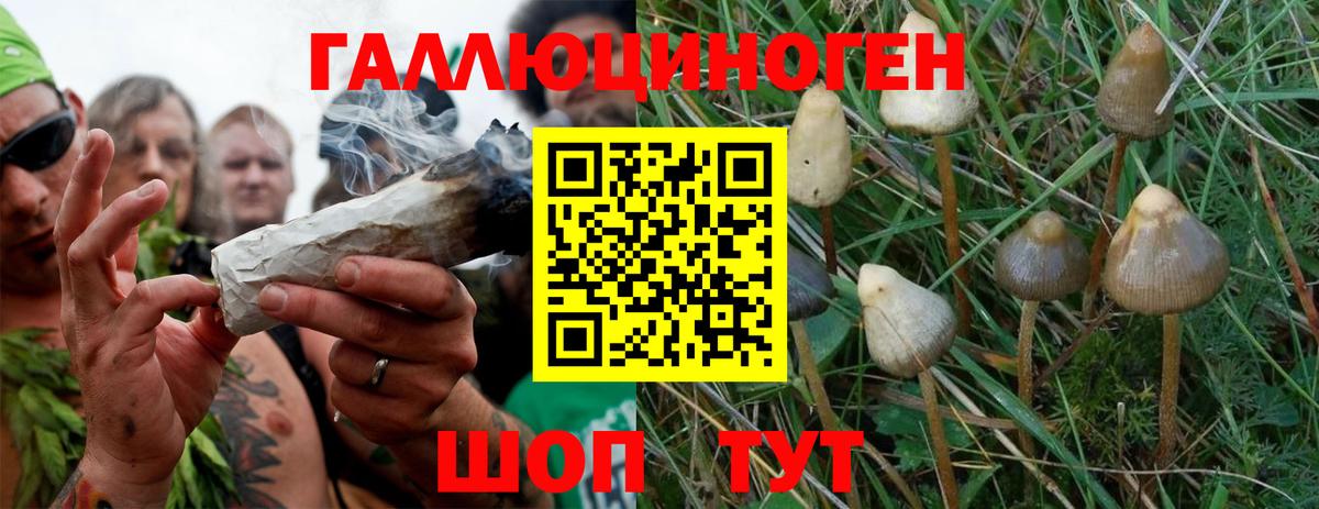 Псилоцибиновые грибы Magic Shrooms Соликамск